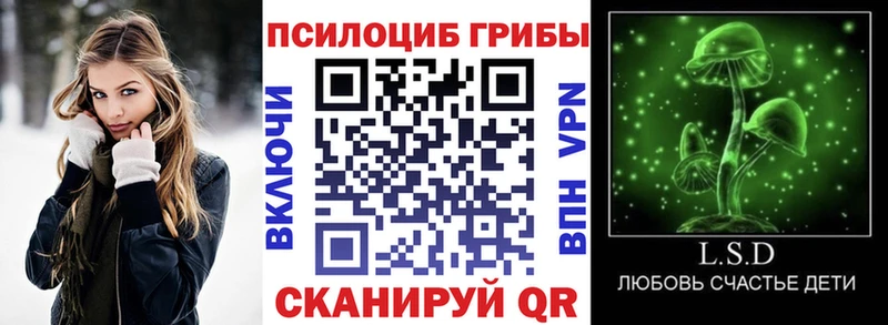 Галлюциногенные грибы прущие грибы  Александровское 